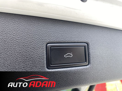 Volkswagen Tiguan 2.0 TSI DSG 4Motion R-Line 169 kW