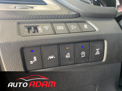 Hyundai Santa Fe 2.2 CRDi 147kW 4x4 Premium