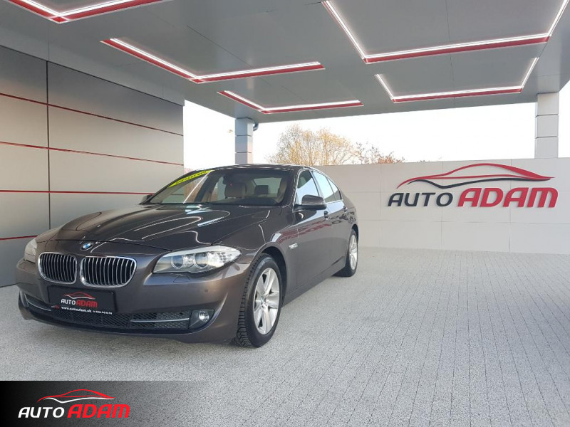 BMW rad 5 520d A/T (F10)